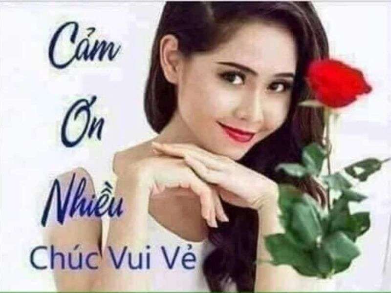 Tải ngay 50+ ảnh cảm ơn meme cute, hài hước nhất - Ảnh 25.