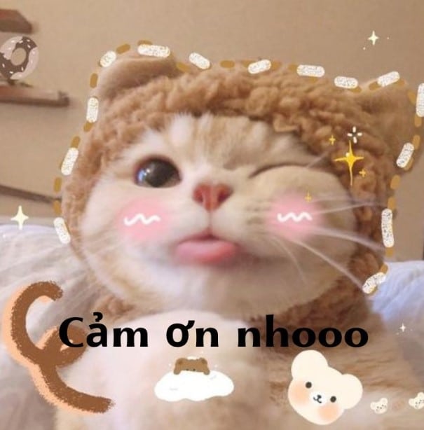 Tải ngay 50+ ảnh cảm ơn meme cute, hài hước nhất - Ảnh 27.