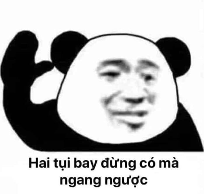 100+ hình gấu trúc meme hài, bựa hot nhất, lưu ngay về máy - Ảnh 7.