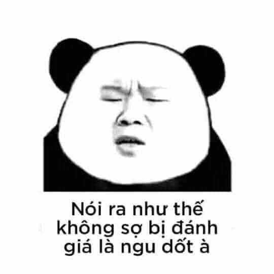 100+ hình gấu trúc meme hài, bựa hot nhất, lưu ngay về máy - Ảnh 14.