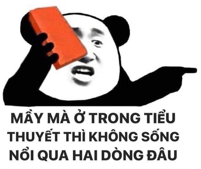 100+ hình gấu trúc meme hài, bựa hot nhất, lưu ngay về máy - Ảnh 17.