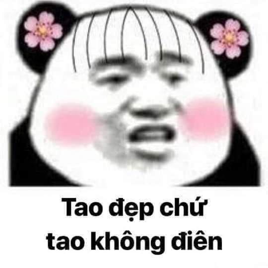 100+ hình gấu trúc meme hài, bựa hot nhất, lưu ngay về máy - Ảnh 24.