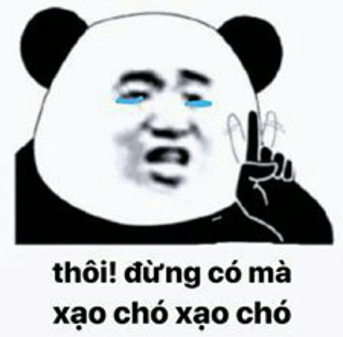 100+ hình gấu trúc meme hài, bựa hot nhất, lưu ngay về máy - Ảnh 28.