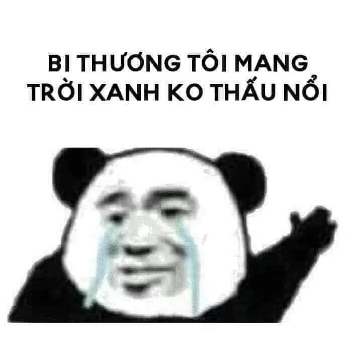 100+ hình gấu trúc meme hài, bựa hot nhất, lưu ngay về máy - Ảnh 32.