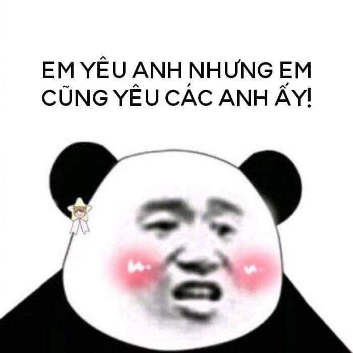 100+ hình gấu trúc meme hài, bựa hot nhất, lưu ngay về máy - Ảnh 42.