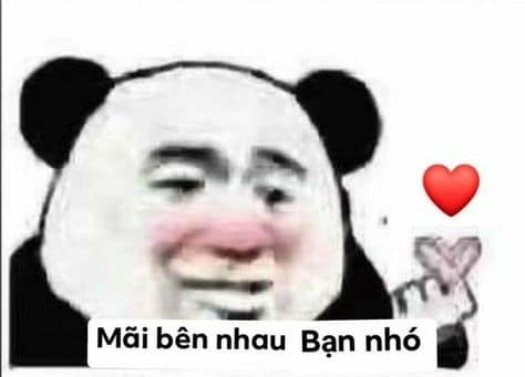 100+ hình gấu trúc meme hài, bựa hot nhất, lưu ngay về máy - Ảnh 50.