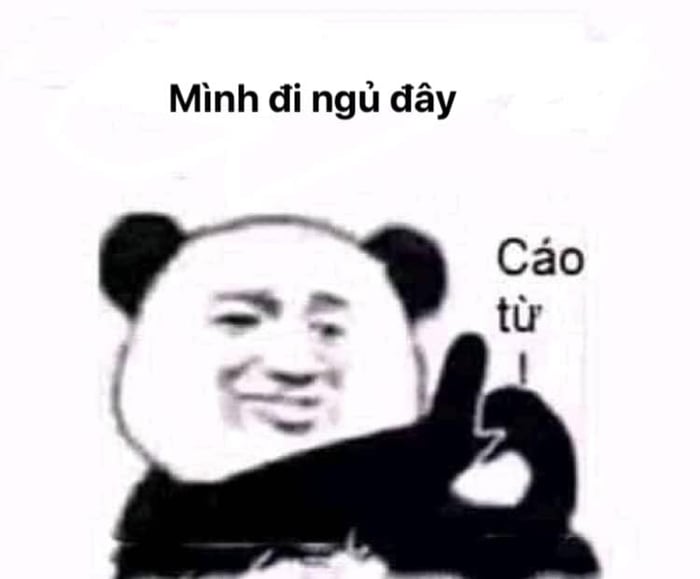 100+ hình gấu trúc meme hài, bựa hot nhất, lưu ngay về máy - Ảnh 51.