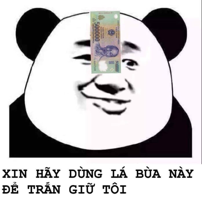 100+ hình gấu trúc meme hài, bựa hot nhất, lưu ngay về máy - Ảnh 57.